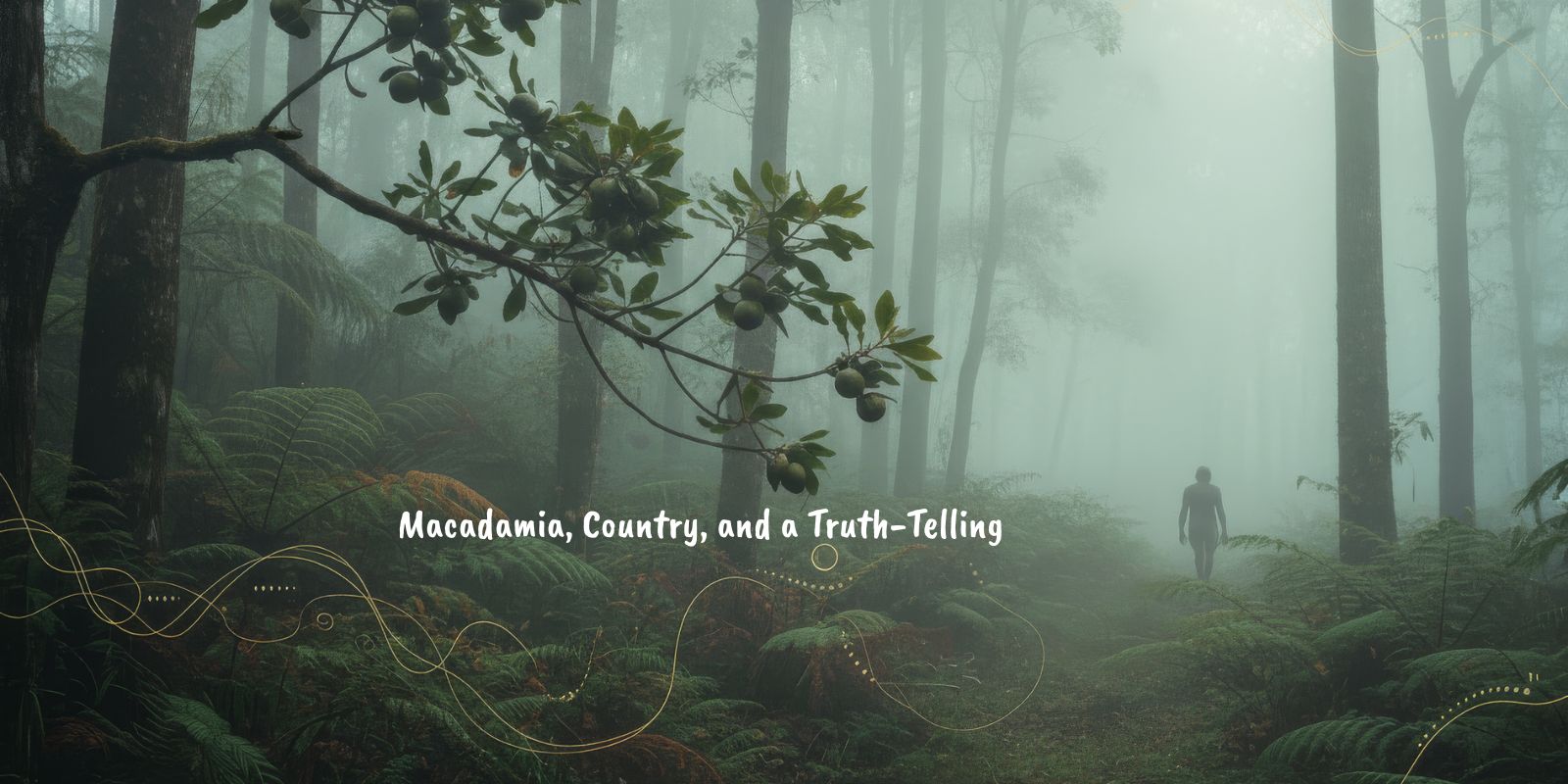 This 26th January, bring a gentle moment of truth-telling to the table l Free Recipe Download l Roasted Macadamias with Girri Girri (Lemon Myrtle)