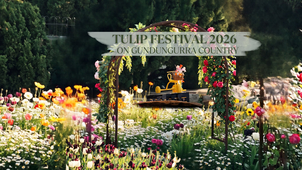 Tulip Time Bowral 2026: Find Indigenous-Owned Chocolate at Stall FM7