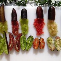 Gulalung finger lime caviar traditional bush food ingredient - native Australian citrus for chocolate