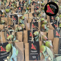 Holiday Gift Bags featuring Chocolate On Purpose® Indigenous chocolate with Australian native botanical ingredients. Kraft paper bags with festive silver and natural embellishments, decorated with eucalyptus leaves and native gum nuts. Chocolate On Purpose® logo with red Galah artwork and dot art design. Perfect for corporate gifting, team recognition, and inclusive seasonal celebrations. 100% Indigenous-owned, ethically sourced, palm oil-free chocolate gifts.

