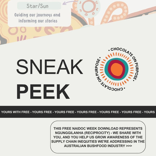 NAIDOC Week 2025 Budyabudya butterfly infographic featuring 13 sacred Aboriginal symbols including Star/Sun, Footprints, Meeting Places with Chocolate On Purpose logo celebrating Indigenous Cultural education and native botanical knowledge