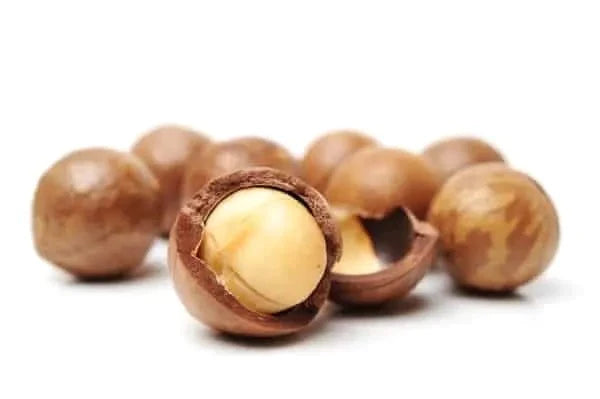Macadamia Nut (Boombera)